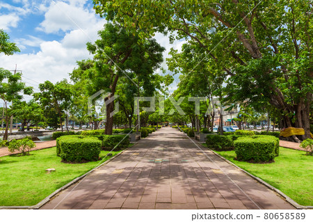 Green park outdoor with blue sky cloud in the city. Green park outdoor with blue sky cloud in the city. 80658589