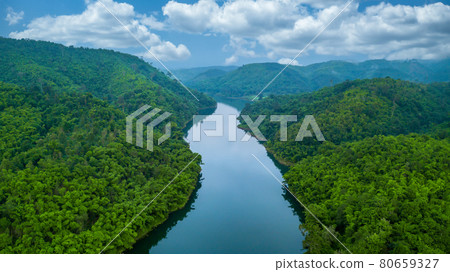 Aerial view river and forest tree, Rainforest ecosystem and healthy environment, Natural scenery of river in southeast Asia tropical green forest. Aerial view river and forest tree, Rainforest ecosystem and healthy environment, Natural scenery of river in southeast Asia tropical green forest. 80659327
