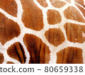 Giraffe pattern 80659338