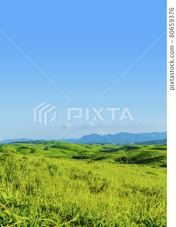 草原喀斯特高原秋吉台夏季國定公園山口縣 80659376