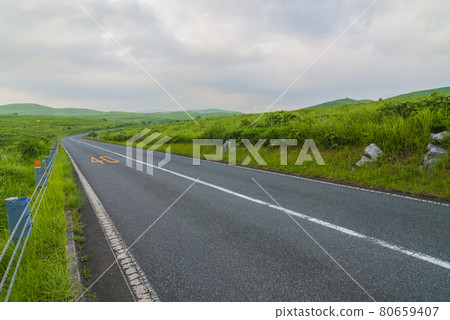 草原喀斯特高原秋吉台夏季國定公園山口縣 80659407