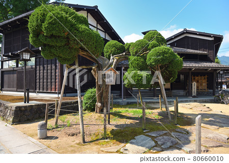 800 歲高齡的飛騨 Maki Kashiwa(岐阜縣飛騨市) 800 歲高齡的飛騨 Maki Kashiwa(岐阜縣飛騨市) 80660010