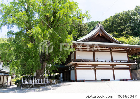 [Okayama Prefecture] Kibitsu Shrine 80660047