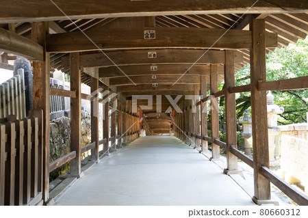 [Okayama Prefecture] Kibitsu Shrine 80660312