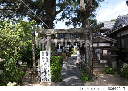 Enseiji Torii Enseiji Torii 80660645