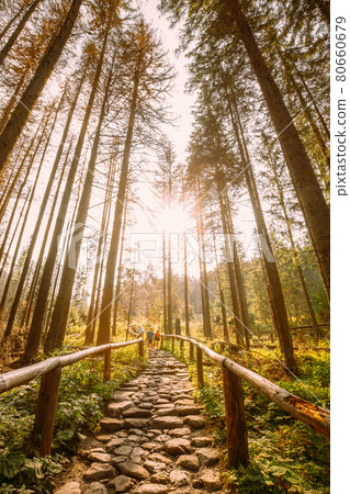 Tatra National Park, Poland. Hiking Trails In Summer Tatra Mountains Forest Landscape. Beautiful Scenic View Of European Nature In Sunset Sunrise. 80660679