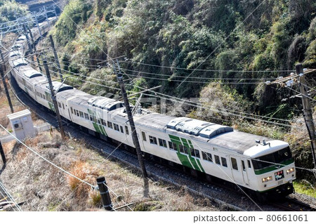 185 series Odoriko 185 series Odoriko 80661061