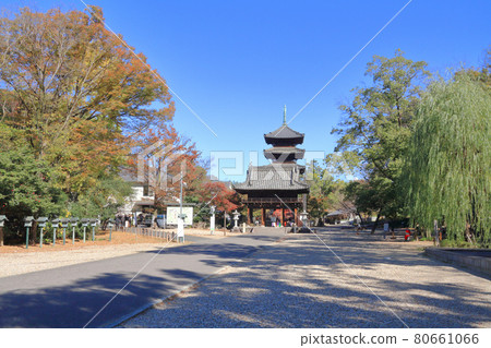 Yagatoyama Kosho-ji Temple Autumn 80661066