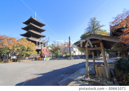 Yagatoyama Kosho-ji Temple 秋天 80661071