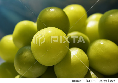 A large sweet grape that has been carefully raised. Shine Muscat. Muscat. Fruit image material 80661306