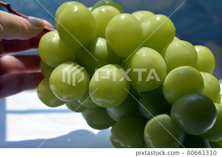 A large sweet grape that has been carefully raised. Shine Muscat. Muscat. Fruit image material A large sweet grape that has been carefully raised. Shine Muscat. Muscat. Fruit image material 80661310