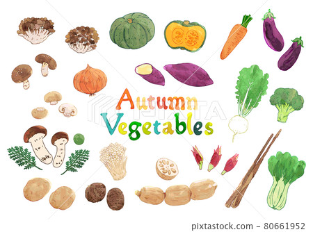 秋季蔬菜手繪水彩畫套 秋季蔬菜手繪水彩畫套 80661952