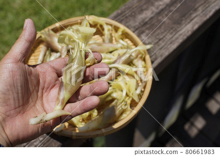 Harvest of alga Harvest of alga 80661983