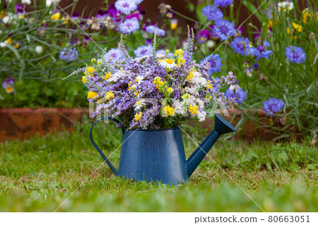 Wild flowers in a blue metal watering can Wild flowers in a blue metal watering can 80663051