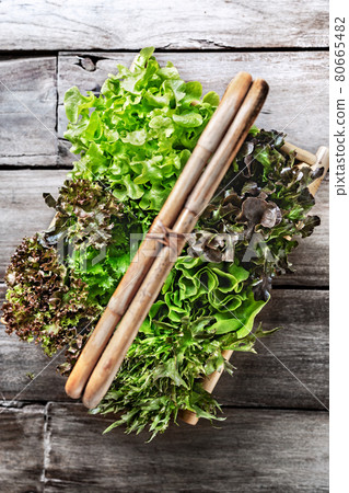 Varieties of Lettuce Varieties of Lettuce 80665482