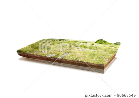 Underground soil layer of cross-section earth with meadow on the top 80665549