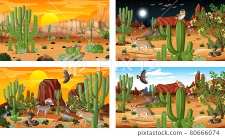 Different desert forest scenes with animals and plants 80666074