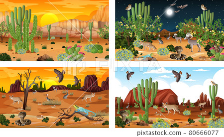 Different scenes with desert forest landscape with animals and plants Different scenes with desert forest landscape with animals and plants 80666077