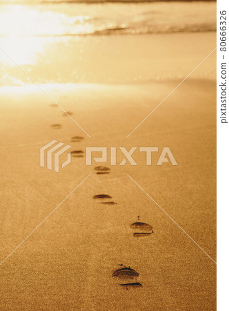 footprints in a tropical beach 80666326