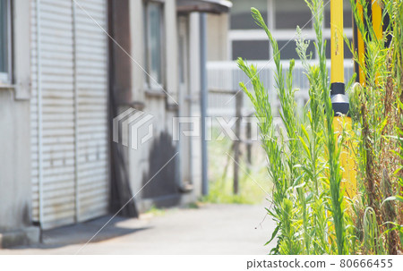暑假路 暑假路 80666455