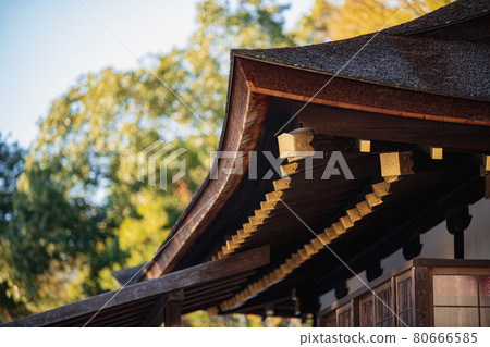 Kyoto Kamigamo Shrine Hosodono 80666585