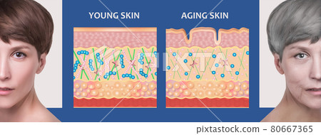 Anti-aging, beauty treatment, aging and youth, lifting, skincare, plastic surgery concept. Anti-aging, beauty treatment, aging and youth, lifting, skincare, plastic surgery concept. 80667365