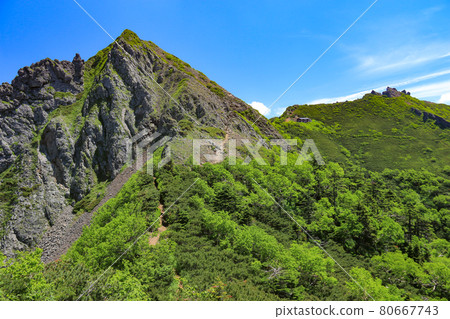 通往權現山山頂的南八岳之路 通往權現山山頂的南八岳之路 80667743