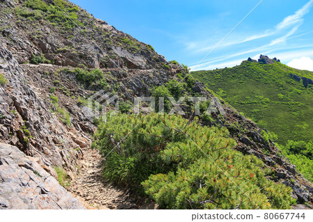 南八岳,通往權現山山頂的道路,俯瞰權現山東峰 南八岳,通往權現山山頂的道路,俯瞰權現山東峰 80667744