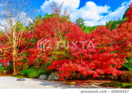 南禪寺和Tensenan的秋葉 南禪寺和Tensenan的秋葉 80668487