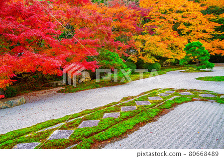 Autumn leaves of Nanzenji and Tensenan 80668489