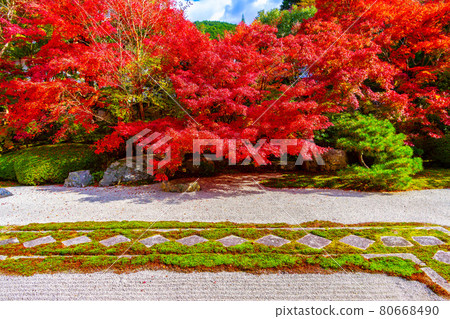 Autumn leaves of Nanzenji and Tensenan Autumn leaves of Nanzenji and Tensenan 80668490