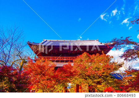 Nanzenji Sanmon和秋葉 80668493