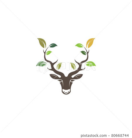 Deer head with leaf concept design icon vector illustration ilustration icon vector design Deer head with leaf concept design icon vector illustration ilustration icon vector design 80668744