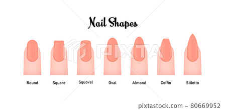 Nail / Nail Shape / Variation Illustration Set... - Stock Illustration  [80669952] - PIXTA
