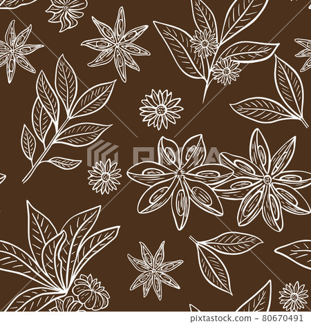 Anise stars pattern. Vector vintage illustration. 80670491