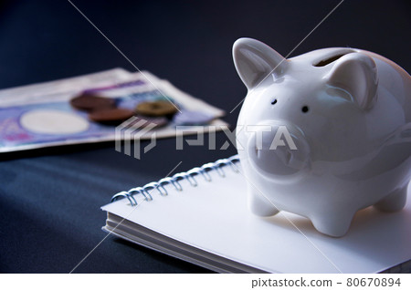 Pig's piggy bank and image of money Pig's piggy bank and image of money 80670894