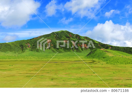 [Kumamoto Prefecture] Manroku Kusasenri (Mt. Aso) 80671186