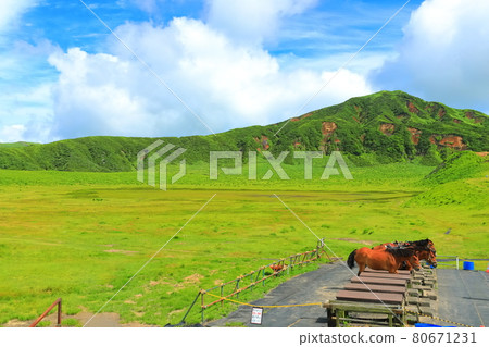 [Kumamoto Prefecture] Manroku Kusasenri (Mt. Aso) 80671231