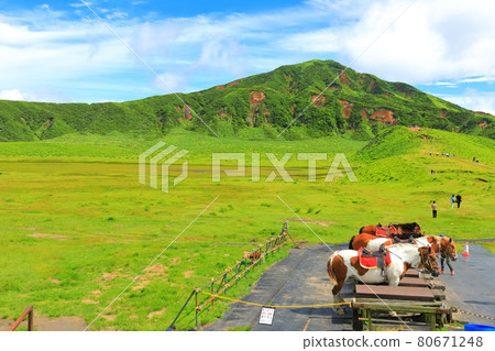[Kumamoto Prefecture] Manroku Kusasenri (Mt. Aso) 80671248