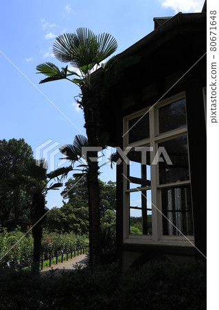 園內西洋樓 / 古河庭園 80671648