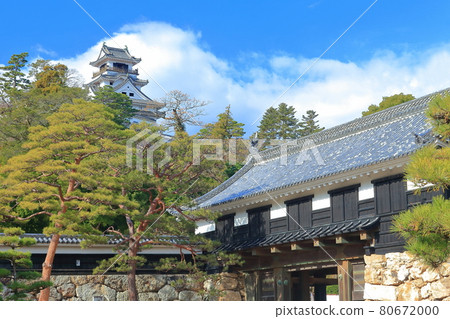 [Kochi Prefecture] Kochi Castle (Tenshukaku and Otemon) 80672000