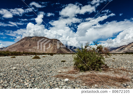 Nubra valley in Himalayas. Ladakh, India Nubra valley in Himalayas. Ladakh, India 80672105