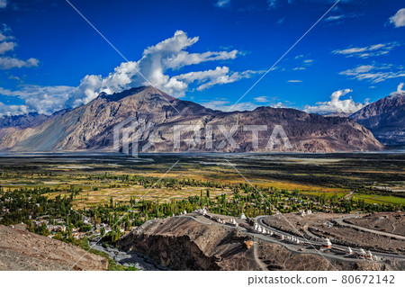 Nubra valley in Himalayas. Ladakh, India 80672142