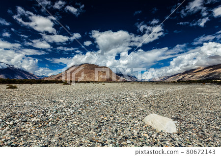 Nubra valley in Himalayas. Ladakh, India 80672143