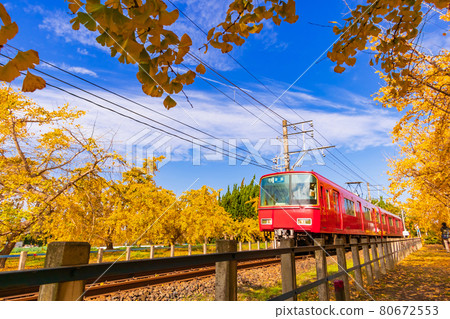 Autumn soaring, row of ginkgo trees and Meitetsu train <Inazawa City, Aichi Prefecture> 80672553