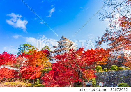 Gujo Hachiman Castle in autumn colors <Gujo City, Gifu Prefecture> 80672682