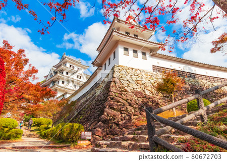 Gujo Hachiman Castle in autumn colors <Gujo City, Gifu Prefecture> Gujo Hachiman Castle in autumn colors <Gujo City, Gifu Prefecture> 80672703