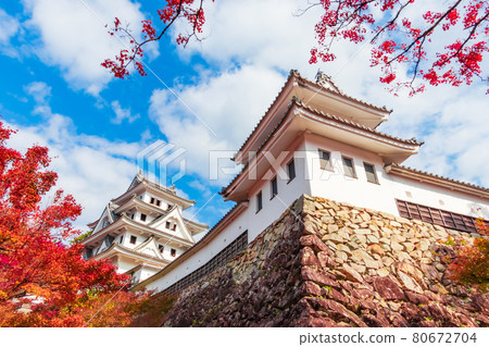 Gujo Hachiman Castle in autumn colors <Gujo City, Gifu Prefecture> 80672704