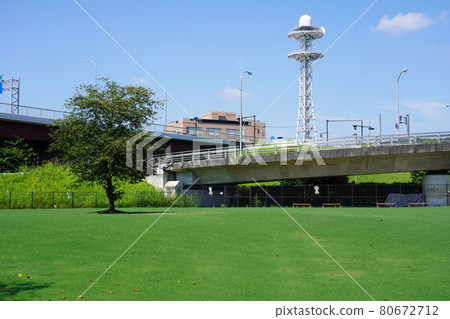 新橫濱公園狗跑 80672712