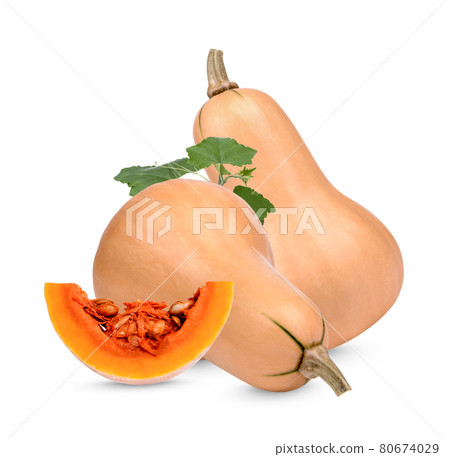 Butternut squash with leaves isolated on white background Butternut squash with leaves isolated on white background 80674029